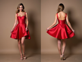 Red Satin Mini Dress - Fit & Flare with Lace Trim Bodice